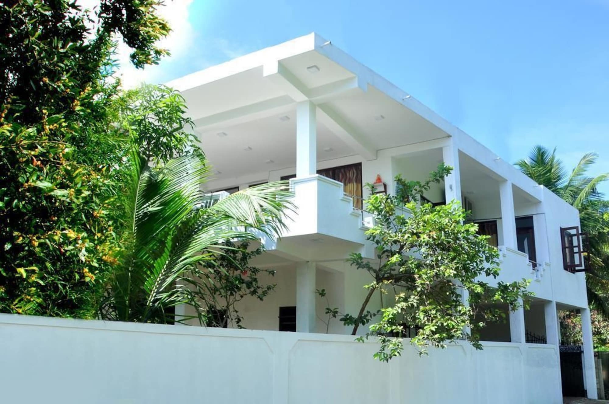 Pitaya Hotel เวลิกามา ภายนอก รูปภาพ