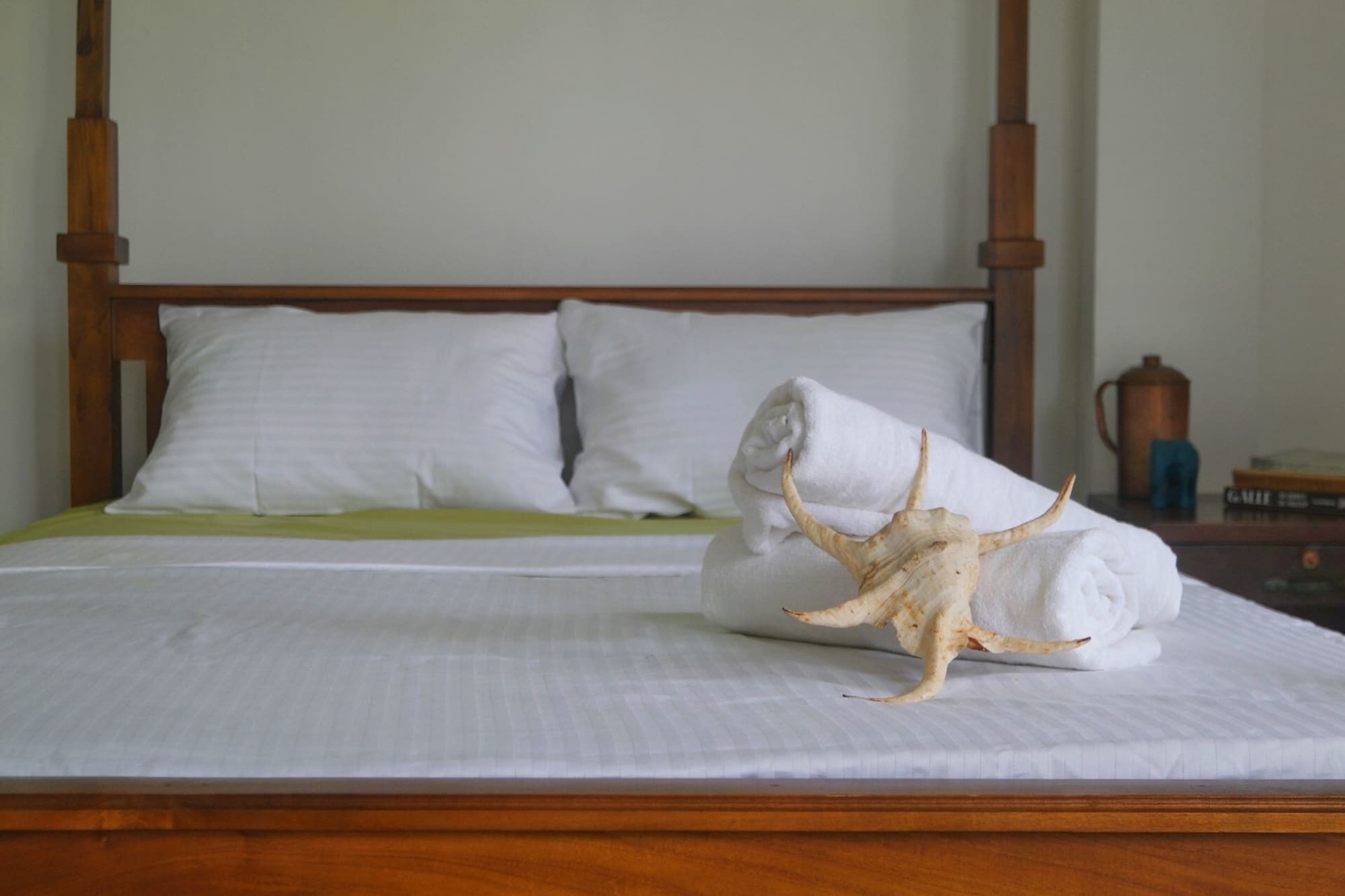 Pitaya Hotel เวลิกามา ภายนอก รูปภาพ